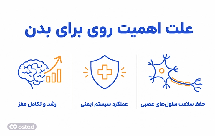 علت اهمیت روی برای بدن