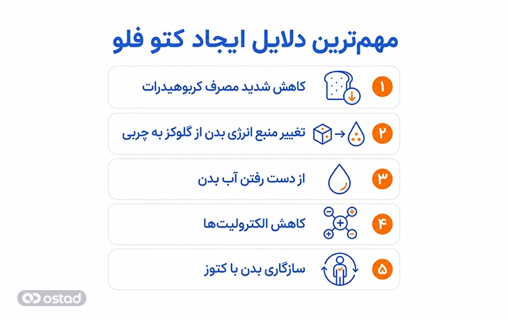 مهم‌ترین دلایل ایجاد کتو فلو