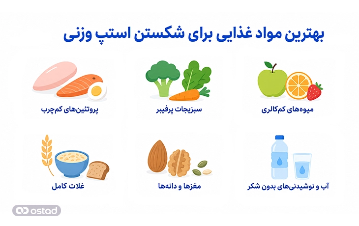 اینفوگرافیک بهترین مواد غذایی برای شکستن استپ وزنی