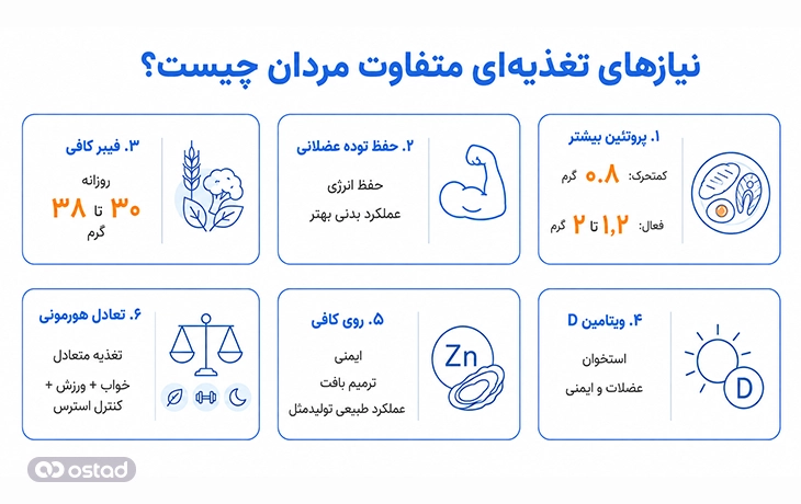 اینفوگرافی نیازهای تغذیه‌ای متفاوت مردان