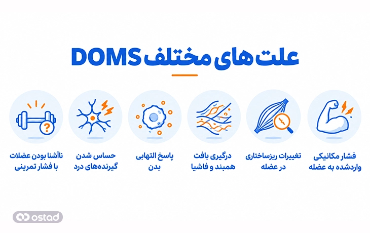 علت‌های مختلف DOMS