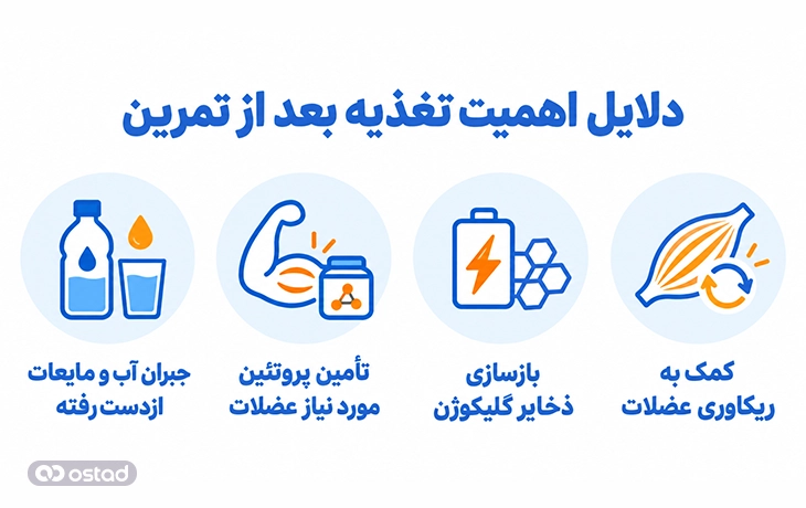 دلایل اهمیت تغذیه بعد از تمرین