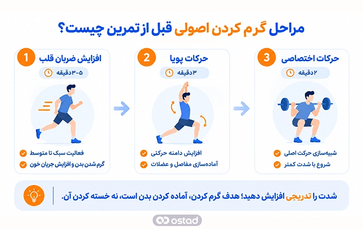 اینفوگرافیک مراحل گرم کردن اصولی قبل از تمرین چیست؟