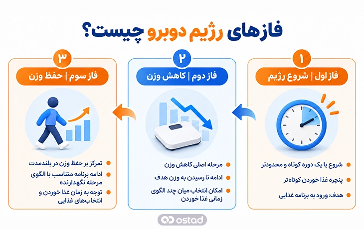 اینفوگرافیک فازهای رژیم دوبرو چیست؟