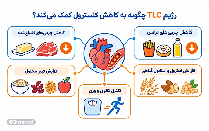 اینفوگرافیک رژیم TLC چگونه به کاهش کلسترول کمک میکند؟